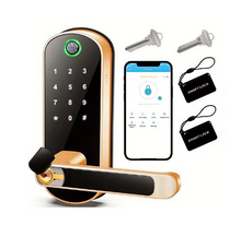 Fingerprint Lock (One Set)